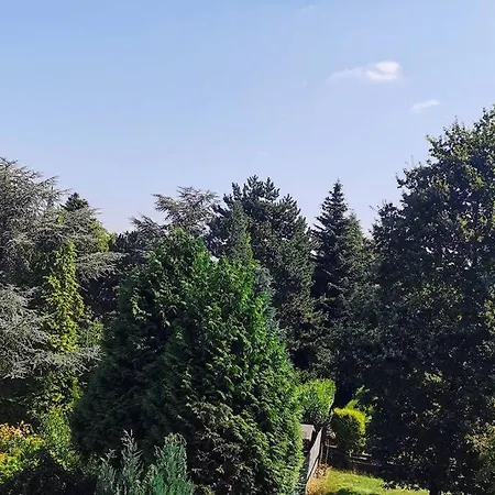Sehr Schoene, Grosse Und Zentral Gelegene * Ahlen